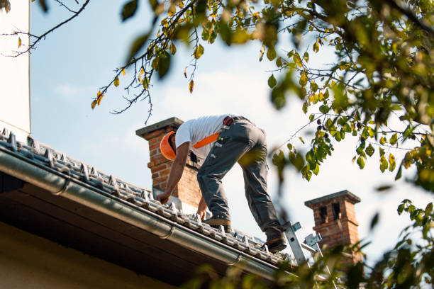 Best Roof Insulation Installation  in Moorhead, MS