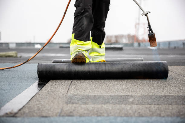 Best Roof Coating and Sealing  in Moorhead, MS