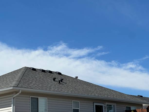4 Ply Roofing in Moorhead, MS